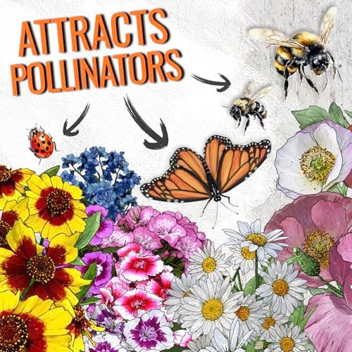 Seed Needs Partial Shade Wildflower Seed Mix for Planting | 1 Ounce 14+ Varieties Open Pollinated Annual & Perennial Species | Flower Seeds Shade Tolerant | Bulk