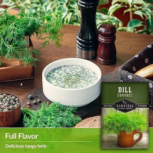 Survival Garden Seeds Compact Dill for Planting - 1 Seed Packet with Instructions to Plant & Grow Container Sized Dwarf Dill Herb Plants in Your Home Garden - Non-GMO Heirloom Variety