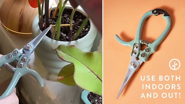 Modern Sprout Pruning Shears - Herb Snipping Scissors- Lightweight Gardening Tools W/Easy Lock - Flower Cutter Garden Shears - Carbon Steel Blade + Plastic-Free Reusable Holster (Green, 1-Pack)