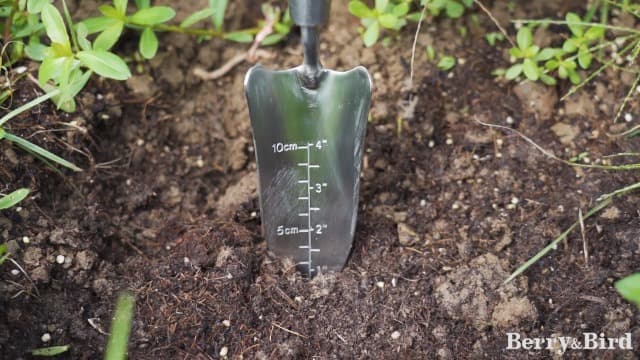 Transplant Trowel with Measurements, Garden Stainless Steel Potting Hand Trowel with Wooden Handle, Small Garden Hand Shovel Transplanter Tool for Planting Digging Transplanting Gardening