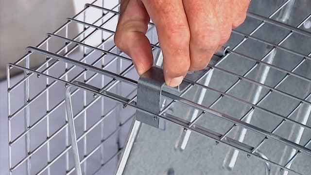 HAVAHART 1079SR Large 1-Door Humane Catch and Release Live Animal Trap Cage - Live Raccoon Trap, for Bobcats, Beavers, Dogs, & More