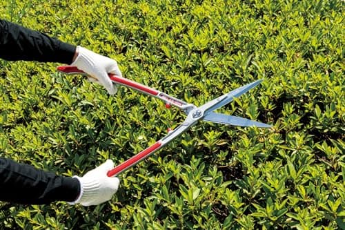 ARS HS-KR1000 Professional Hedge Shears