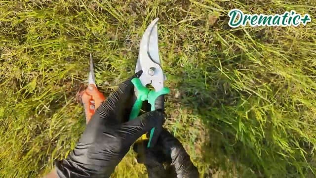 Garden Pruning Shears 3 Pack Gardening Shears Garden Scissors Stainless Steel Plant Flower Scissors Clippers Pruning Shears tijeras de jardinería