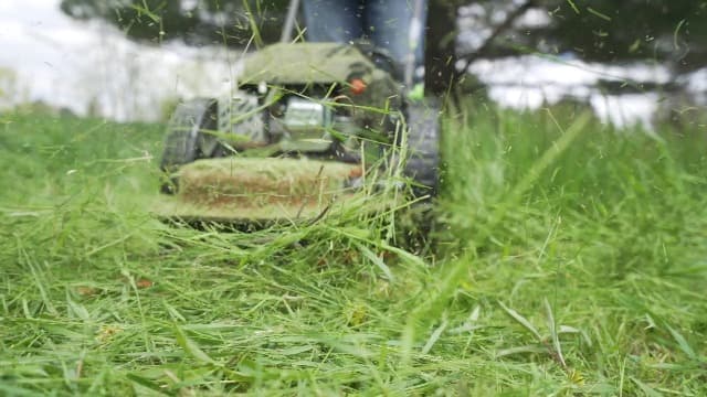 Earthquake Walk Behind String Mower With 160cc Viper 4-Cycle Engine, 22” Cutting Diameter, 14” Never-Go-Flat Wheels, Easy Assembly, Adjustable Handlebar, Model # 40314