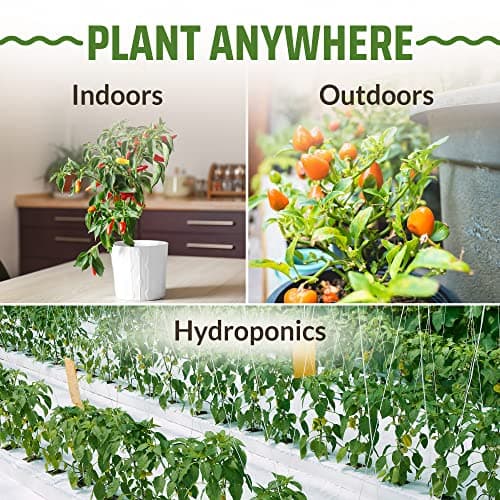 Rooted Acre 8 Varieties Hot Peppers – 240 Heirloom Seeds, 𝗡𝗢𝗡-𝗚𝗠𝗢 𝗨𝗦𝗔-𝗦𝗢𝗨𝗥𝗖𝗘𝗗, High Germination – Includes Ghost, Jalapeño, Serrano, California Wonder & More – Spicy Pepper Garden Mix