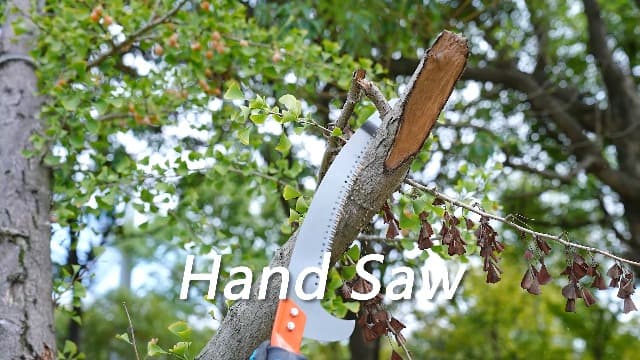 Walensee Pole Saws for Tree Trimming 10FT Lightweight Manual Stainless Steel Extension High Pole Pruning Pole Saw with Blade for Trimmer Branches Pole Cutter Pole Pruner at Forestry Yard Garden Patios