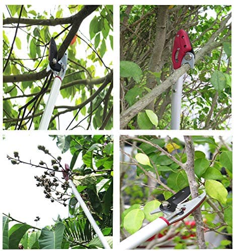 2 Feet Cut and Hold Tree Pruner, Rotation Pole Tree Trimming, Short Reach Fruit Picker, Branches Bypass Lopper