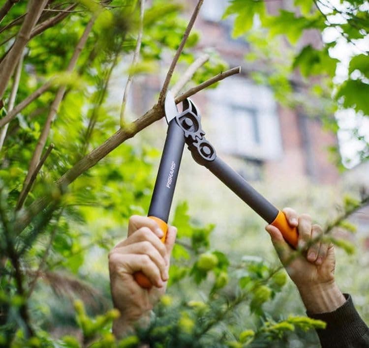 Fiskars 2 Piece Garden Shears and Pruner Set