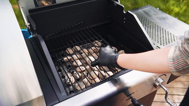 Royal Gourmet ZH3002N Propane Gas and Charcoal Grill Combo, Dual Fuel BBQ Grill with 2 Side Shelves for Outdoor Patio Garden Backyard Barbecue, 20,000 BTUs, Silver & Black