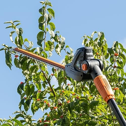 Scotts CLPS40020S 20-Volt 2-in-1 Cordless Covertible Pole Saw/Pole Hedge Trimmer, 2.0Ah Battery and Fast Charger Included