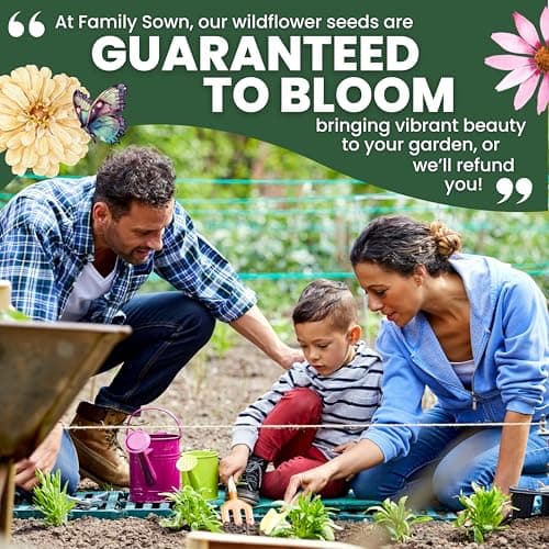 Perennial Species Mix - Large 1 Ounce Packet - 15,000 Flower Seeds for Planting - Wildflower Mix