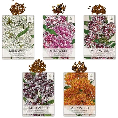 Seed Needs, Milkweed Seed Packet Collection to Attract Monarch Butterflies (5 Individual Seed Varieties to Plant) Heirloom & Untreated Seeds