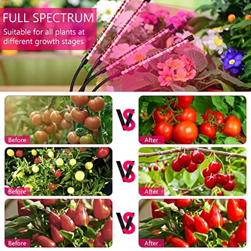 Grow Lights for Indoor Plants, Four Head LED Grow Light with Full Spectrum, Red White Spectrum for Indoor Plant Lamp, Adjustable Gooseneck, Suitable for Vegetation