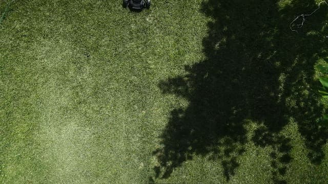 American Lawn Mower Company 1815-18 18-Inch 5-Blade Push Reel Lawn Mower, 18-Inch, 5-Blade, Black