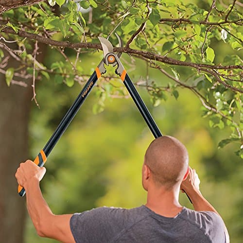 Fiskars Forged Lopper with Replaceable Blade (30 Inch)