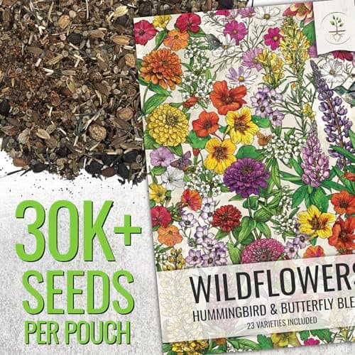 Seed Needs Wildflower Seeds Butterfly and Hummingbird Seed Mix 2 Ounce No Filler | 23 Varieties Annual & Perennial Species Such as Butterfly Milkweed, Cosmos & Zinnia | Resealable Bulk Package