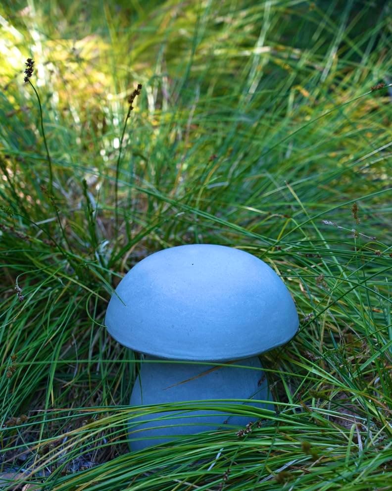 Happy Trees Mushroom Statue Garden Decor, Kids Art Project, Paintable, Gift, Indoor/Outdoor, Strong Lightweight Concrete Sculpture, 10" Tall