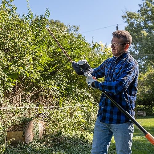 Scotts CLPS40020S 20-Volt 2-in-1 Cordless Covertible Pole Saw/Pole Hedge Trimmer, 2.0Ah Battery and Fast Charger Included