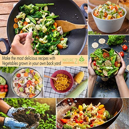 11 Heirloom Seeds for Planting Vegetables and Fruits, 4800 Survival Seed Vault and Doomsday Prepping Supplies, Gardening Seeds Variety Pack, Vegetable Seeds for Planting Home Garden Non GMO…