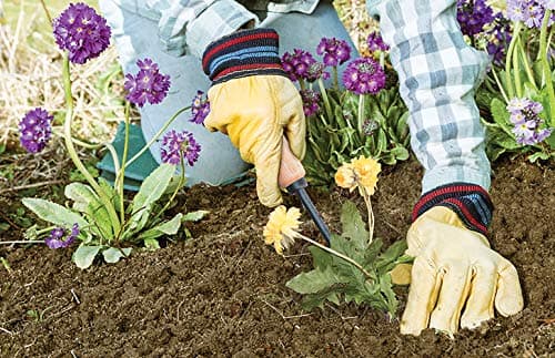 AMES 2447000 Tempered Steel Hand Weeder with Wood Handle, 12-Inch