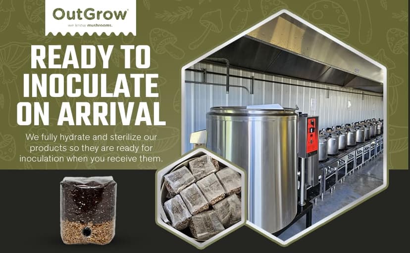 Mini All in One Mushroom Grow Bag