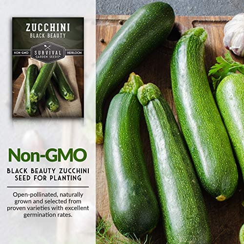 Survival Garden Seeds - Black Beauty Zucchini Seed for Planting - 1 Pack with Instructions to Plant & Grow Dark Green Summer Squash Plants in Your Home Vegetable Garden - Non-GMO Heirloom Variety