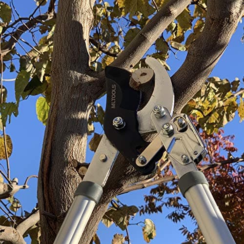 Ratcheting Extendable Bypass Lopper for Gardening - Heavy Duty Ratchet Lopper 39½" Extendable Long Handle – Chops Through 1-3/4” thick Branches – Ideal for All Gardening Enthusiasts - L8230