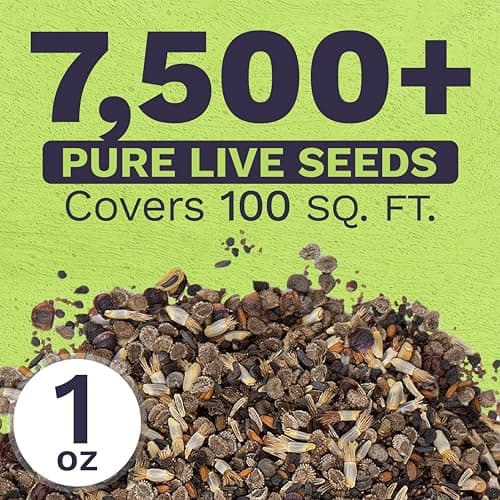 Wildflower Seeds Partial Shade Mix - 1 Ounce Over 7,000 Open Pollinated Annual and Perennial Seeds