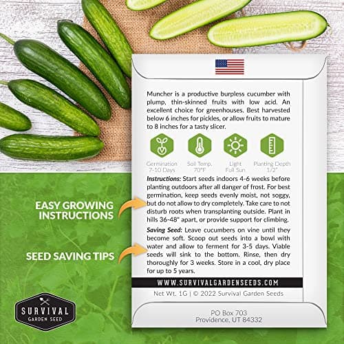 Survival Garden Seeds 1 Pack Muncher Cucumber Seeds for Planting – Seed Packet with Instructions to Grow Burpless Slicing Cucumbers in Your Home Vegetable Garden - Non-GMO Heirloom Variety