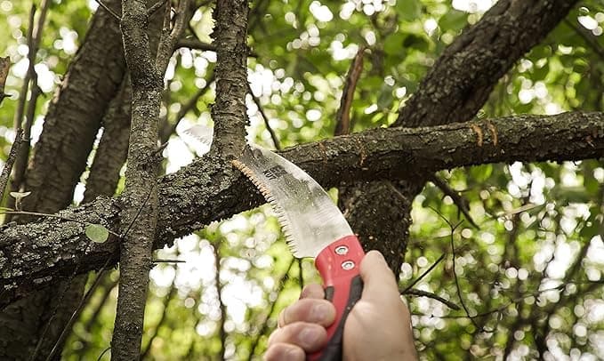 EZ Kut Kamikaze Saw Curved Blade with Scabbard - 19.3 Inch Heavy Duty Pruning - Carbon Hardened Steel Japanese Technology- Best Pruning Saw for Tree Trimming
