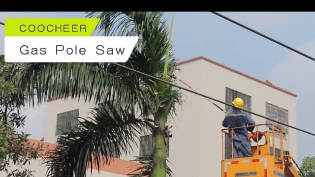 Pole Saw Gas Powered, 58CC Extendable Reach to 16FT, 2 Cycle Powerful Gas Pole Saw 11.5inch Guide Bar Gas Pole Saws for Tree Trimming,Upgrade
