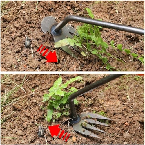 Weed Puller Tool Garden Weeding Pulling Tool– 13” Portable Gardening Weeder, 4 Teeth Manganese Steel Forged Hand Tool for Uprooting Weeds Remover Tool