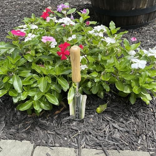 Garden Guru Eco Transplanter Trowel Shovel- 100% Recycled Stainless Steel - Rust Resistant - FSC Certified Wood Ergonomic Handle - Perfect Tool for Gardening Weeding Transplanting and Digging