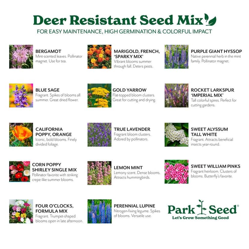 Park Seed Grow Your Own Vibrant Annual and Perennial Wildflower Garden Seed Mixture, Easy to Grow Varieties for Pollinators and Spring Gardens - Deer Resistant Mix, 1/4 lb