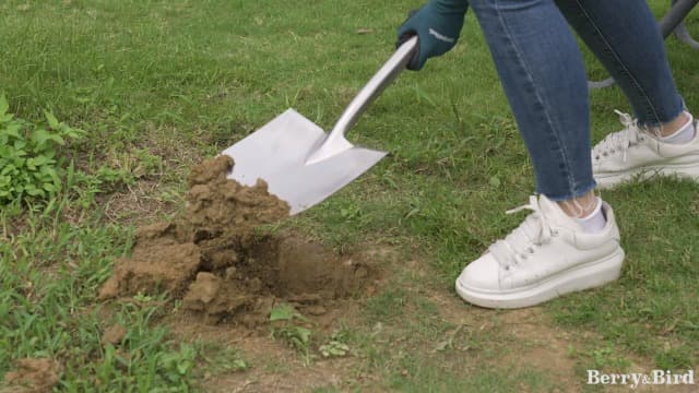 Round Point Gardening Shovel with Wood D-Handle, 40.98" Stainless Steel Beach & Snow Shovel