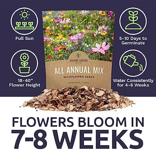 Wildflower Seeds Annual Quick Blooming Mix - Large 1 Ounce Packet Over 7,500 Open Pollinated Seeds