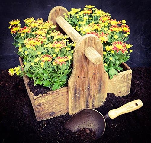 DeWit Forged Scoop Trowel - Heavy Duty Garden Tool with Extra Large Head, Tempered Boron Steel Blade & Ash Hardwood Handle (13.5" Total Length, 0.7lbs)