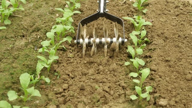 Rotary Garden Tool, Adjustable Hand Tiller, Long Handle Cultivator for Aerating, Weeding, Planting and Mixing Soil or Reseeding Grass