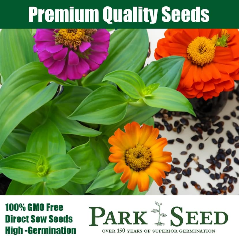 Park Seed Zinnia Flower Planting Seeds, Easy to Grow, Perfect for Spring Garden, Hidden Dragon, Pack of 50