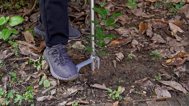 Stand up Weed Puller with 3 Claw Head, 45.6" Long Handle Weed Puller Tool Stand up Heavy Duty, Detachable Weed Remover Tool, No Need Bending Kneeling Weeding Tool for Lawn Yard Garden
