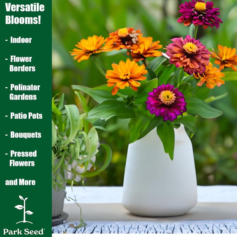 Park Seed Zinnia Flower Planting Seeds, Easy to Grow, Perfect for Spring Garden, Hidden Dragon, Pack of 50