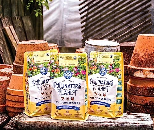 BUZZY Wildflower Pollinator Seed Mix (1lb Bag), 18 Pollinator-Friendly Varieties, Protect The Pollinators & Save The Planet, Coneflower, Sunflower, Calendula, Cosmos, & More, Growth Guaranteed