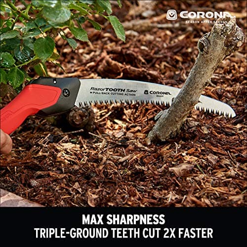 Corona Tools 10-Inch RazorTOOTH Folding Pruning Designed for Single Use | Curved Blade Hand Saw | Cuts Branches Up to 6" in Diameter | RS16150, Red