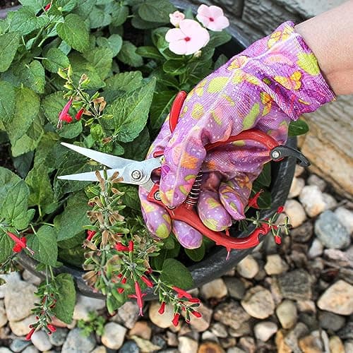 7Penn Garden Pruning Shears - 2pc Straight and Curved Sharp Blade Gardening Hand Tools with Red Ergonomic Grip Handles