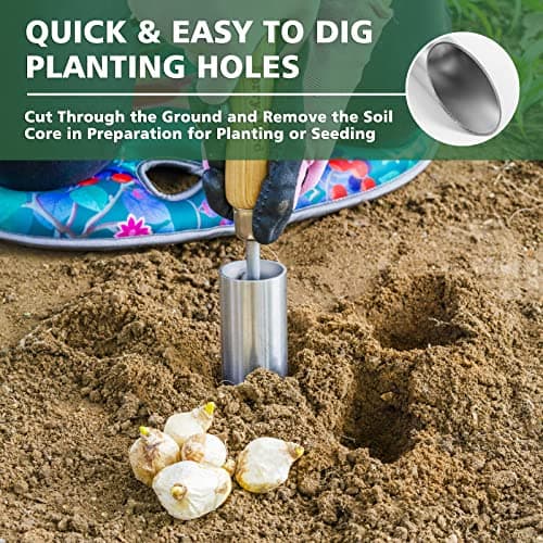 Bulb Planter Tool, 12" Garden Bulb Transplanter Tool, Stainless Steel Manual Hole Digger with Wooden Handle, Transplanting Agricultural Dibble Tool for Seed Planting & Flower Planter