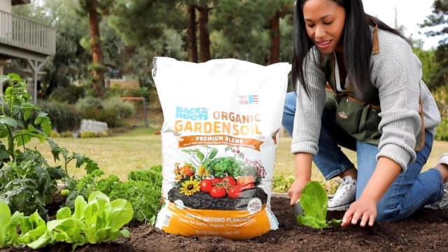 Back to the Roots - 100% Organic Seed Packet - Oregano 'Italian' 70mg