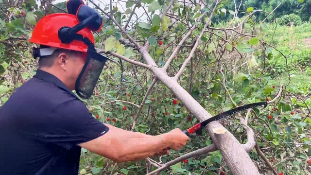 30 FT Manual Pole Saw for Tree Trimming, Extendable Tree Pruner with Sharp Steel Blade and Scissors for High Branches, Sturdy Design Ideal for Pruning Palms and Shrubs