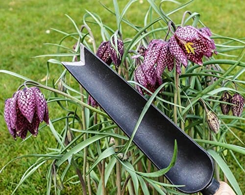 Tierra Garden DeWit Snake Tongue Trowel, Garden Tool for Roots and Planting (31-3005)