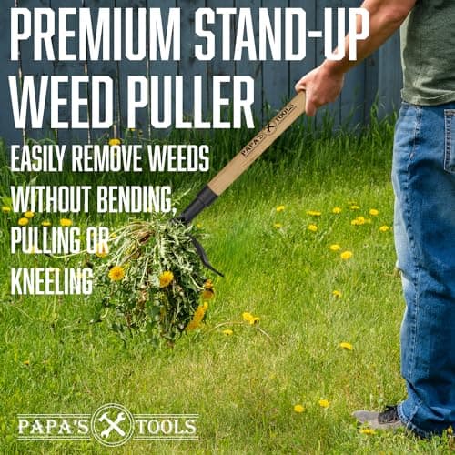 Papa's Tools Weeder - Stand Up Weed Puller Tool Made with Long Wooden Handle - Real Bamboo & 4-Claw Steel Head - Easily Remove Weeds Effortlessly Without The Need to Tug, Bend, Or Flex,