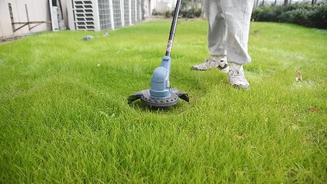 SENIX X2 20 Volt Max* Cordless Grass String Trimmer and Edger Lawn Tool, Detachable Split Shaft, 10-Inch Max Cutting Width, Includes 2.0 Ah Battery and 2A Charger (GTX2-L)